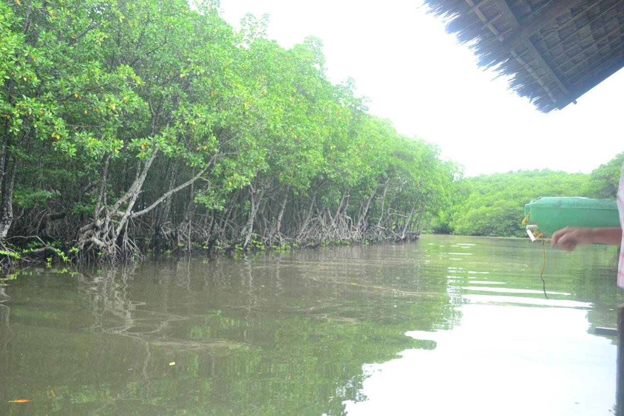 Villa Israel Ecopark El Nido Bagian luar foto