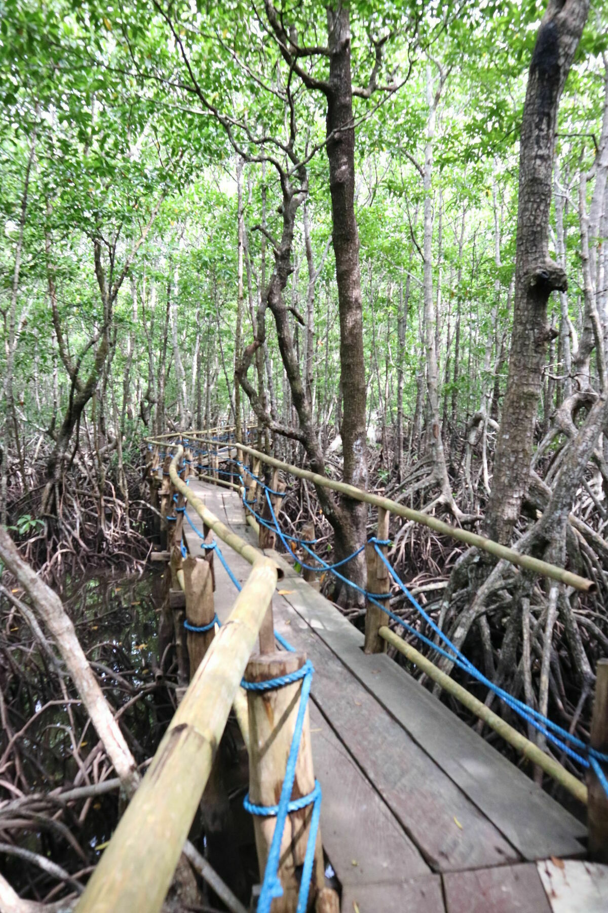 Villa Israel Ecopark El Nido Bagian luar foto