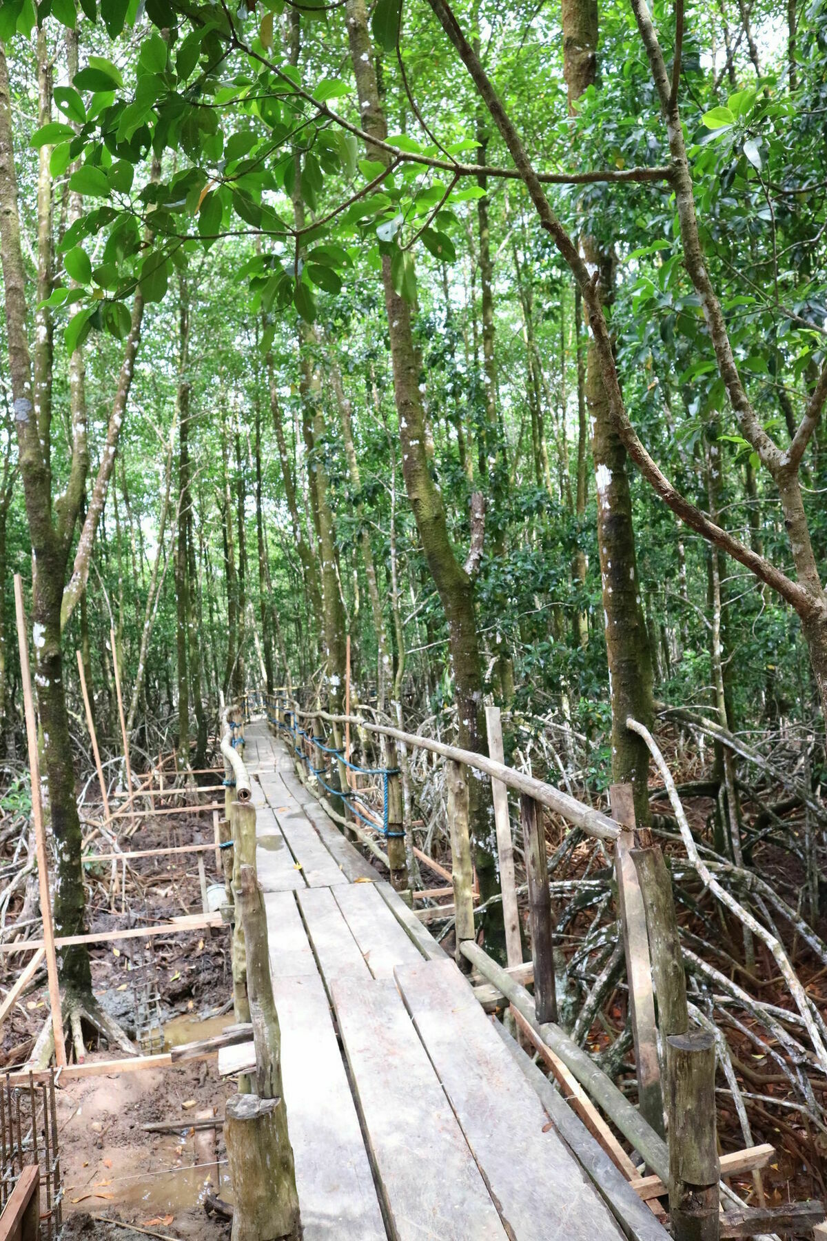 Villa Israel Ecopark El Nido Bagian luar foto