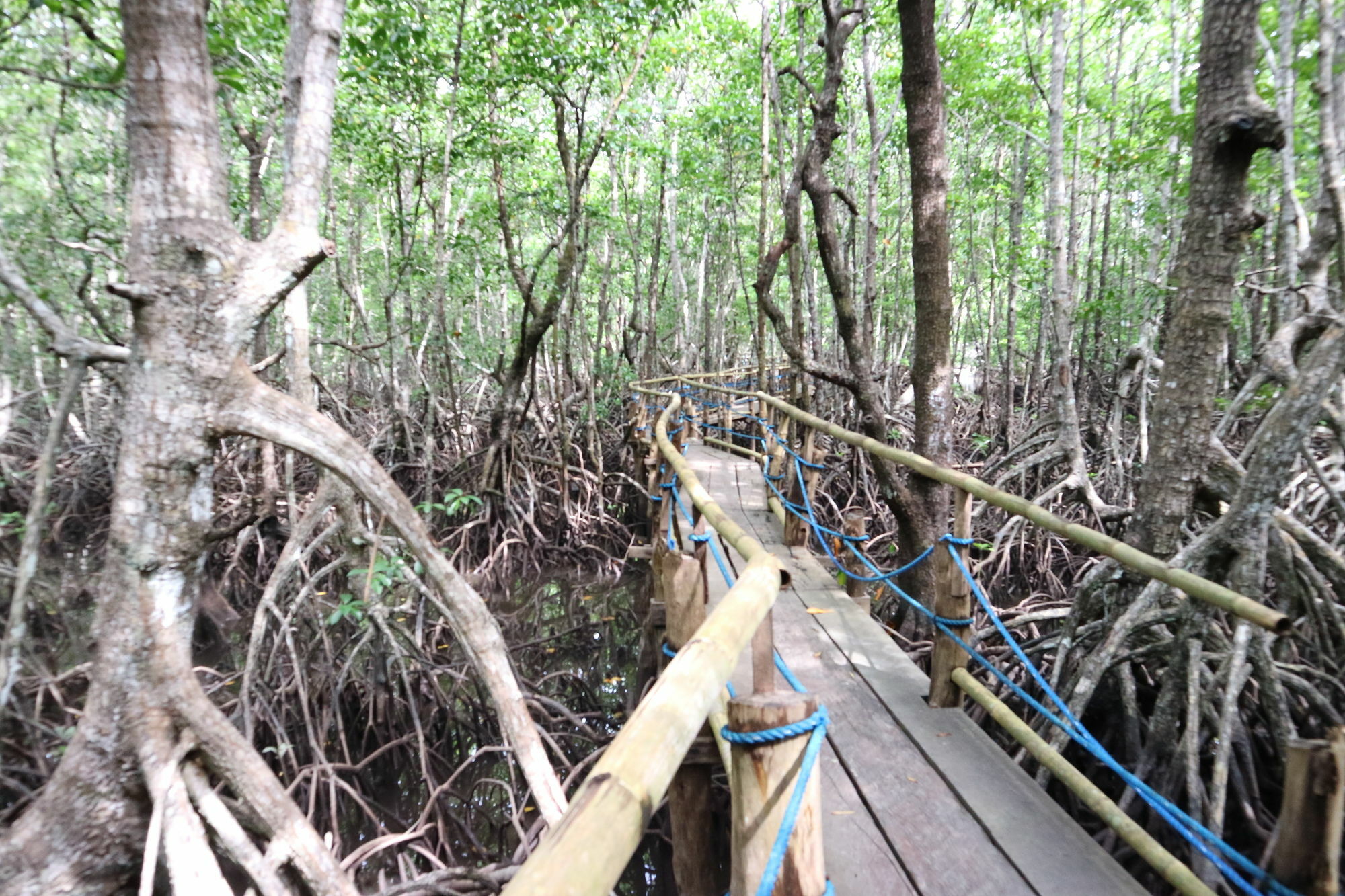 Villa Israel Ecopark El Nido Bagian luar foto